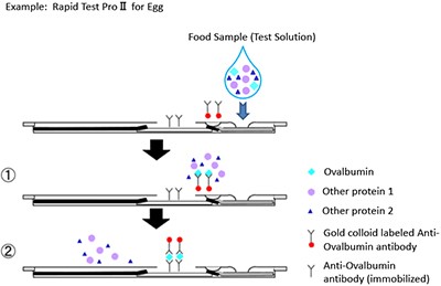 Тест-полоски на пищевые аллергены Rapid Test Pro II